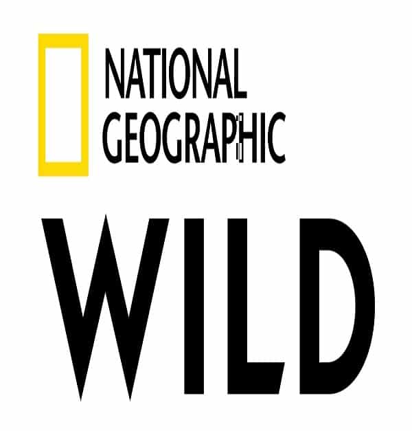 Nat Geo Wild Schedule