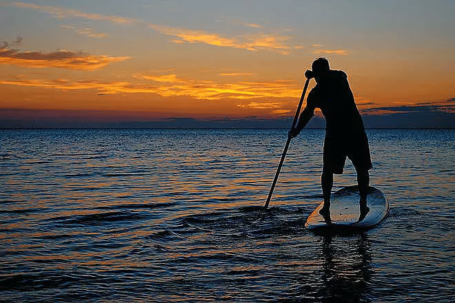 paddle board