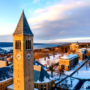 Cornell Institution