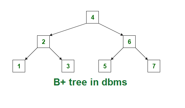 b+ tree in dbms