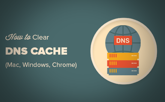 chrome net internals