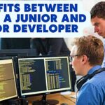 Benefits Between Hiring a Junior and Senior Developer