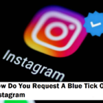 How To Verify Instagram Account In 6 Easy Steps For 2023