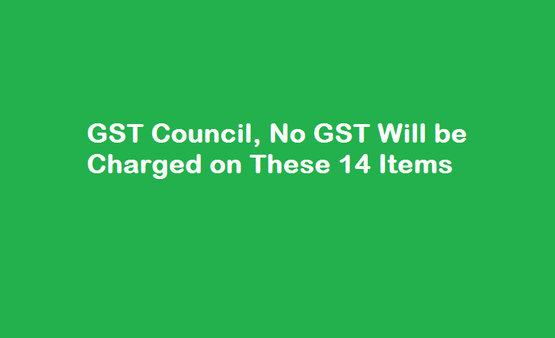 GST Council, No GST Will be Charged on These 14 Items