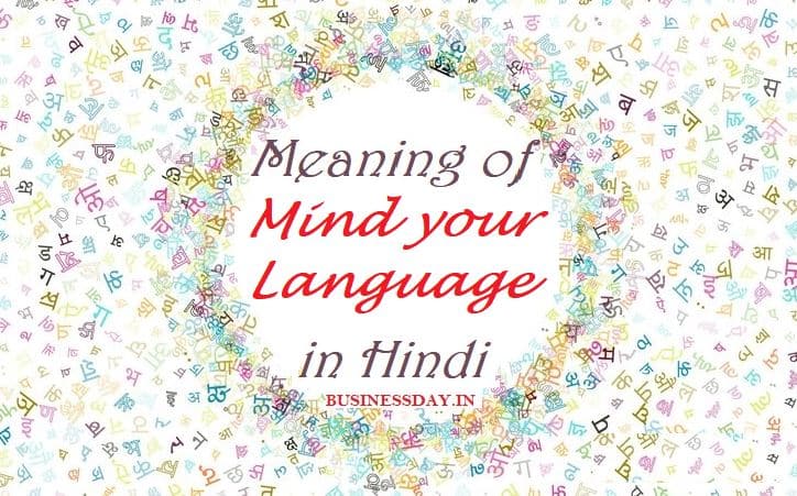 mind your language in Hindi